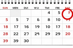 Is your menstrual cycle irregular? Understanding common causes and when to seek help