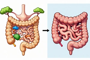 3 Common Causes of an Unhealthy Gut Microbiome