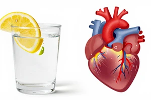 A Practical Guide to Fluids, Hydration, and Erectile Health