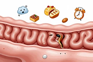 Daily Habits That Can Damage Your Gut Lining: 5 Common Mistakes