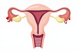 Gynecologists explain 3 common causes of pelvic pain in reproductive years