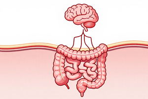 The Link Between Stress and Leaky Gut: Lifestyle Factors to Manage
