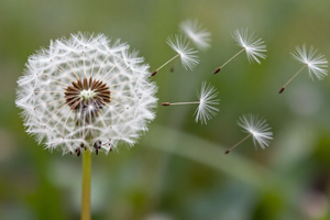 A Practical Explainer of Childhood Trauma: Long-Term Effects and Healing Pathways