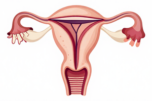 Gynecologists explain 3 common causes of abnormal vaginal discharge