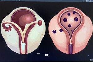 How endocrinologists evaluate and monitor ovarian cysts in PCOS