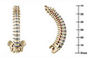3 warning signs your bone density loss may need medical attention