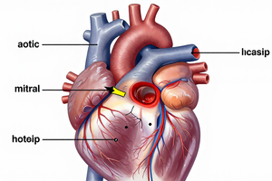 A cardiologist's guide to knowing when heart valve symptoms need immediate care