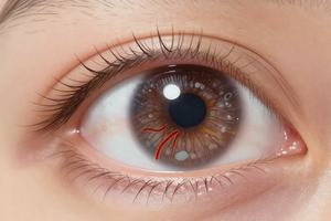 5 early symptoms of diabetic retinopathy you should never ignore