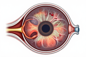 Diabetic retinopathy explained: a clear guide to warning signs and why they matter