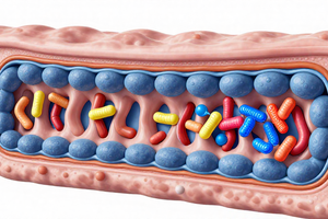 A Practical Explainer: How Prebiotic Fibers Help Seal Your Gut Lining