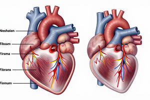 What atrial fibrillation actually does to your heart: a practical explainer for patients