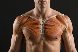 2 symptoms that mean you're overtraining a specific muscle group