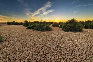 3 early warning signs your skin barrier is dehydrated, not just dry