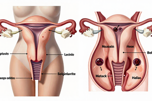 How to tell if your period pain is endometriosis: a practical guide