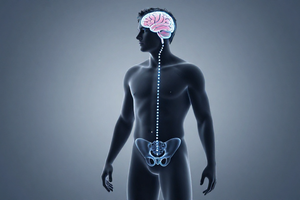 A practical explainer: how sexual anxiety triggers erectile warning signs