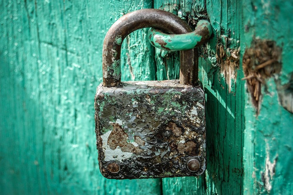 5 expert-backed foods for building a secure attachment mindset