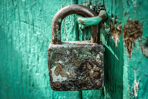 5 expert-backed foods for building a secure attachment mindset