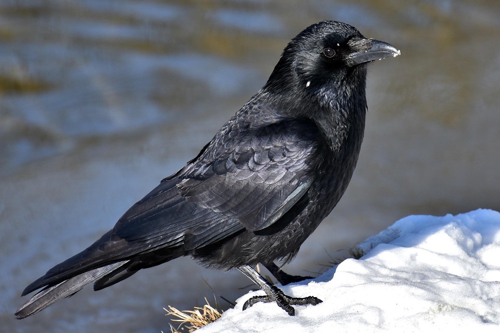 Why crow's feet appear: a practical guide to fat loss and skin thinning