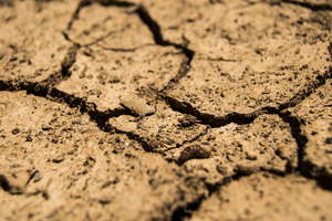 4 signs dehydration is slowing your weight loss, not a plateau