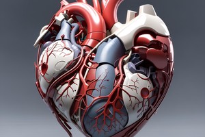 How often to get a cardiovascular screening after 50: a practical guide
