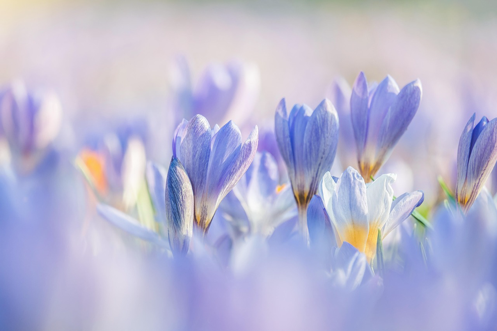 3 foods that can worsen seasonal allergy symptoms in spring