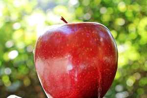 The #1 food swap to stop sugar cravings without feeling hungry, expert-backed
