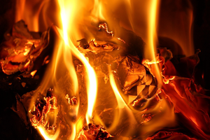 How to Tell if a Food Is Actually Inflammatory: A Practical Explainer for Everyday Eaters