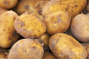 Are Nightshade Vegetables Really Inflammatory? A Dietitian Debunks the Myth