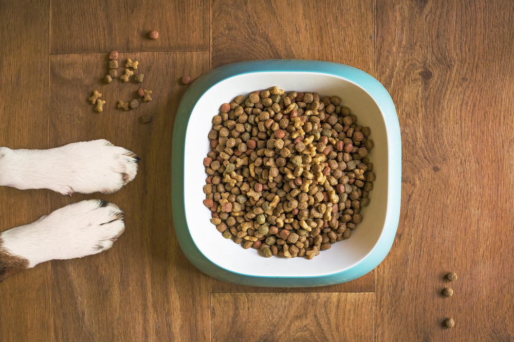 How to pair quick snacks for sustained energy, according to a dietitian