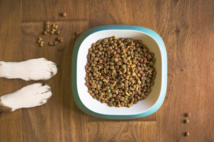 How to pair quick snacks for sustained energy, according to a dietitian