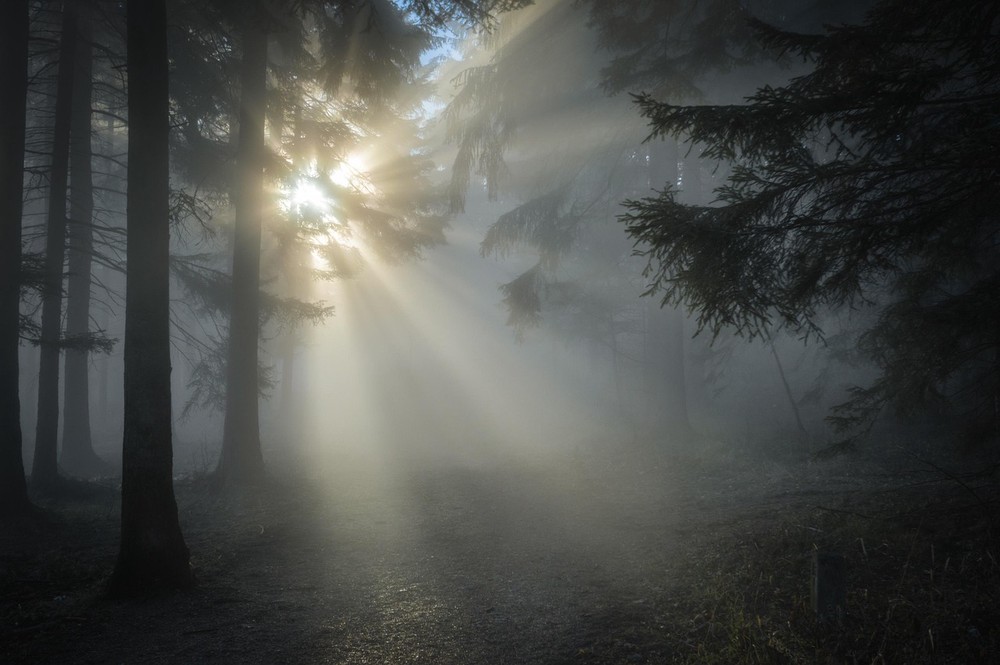 The daily morning habit that overlooks a family history of immune weakness