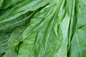 One food to add to your lunch if you tend to avoid stressful tasks