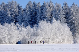 7 evidence-backed tips for managing dry skin in cold seasons