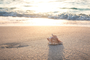 4 hydration-boosting food swaps dietitians recommend for summer