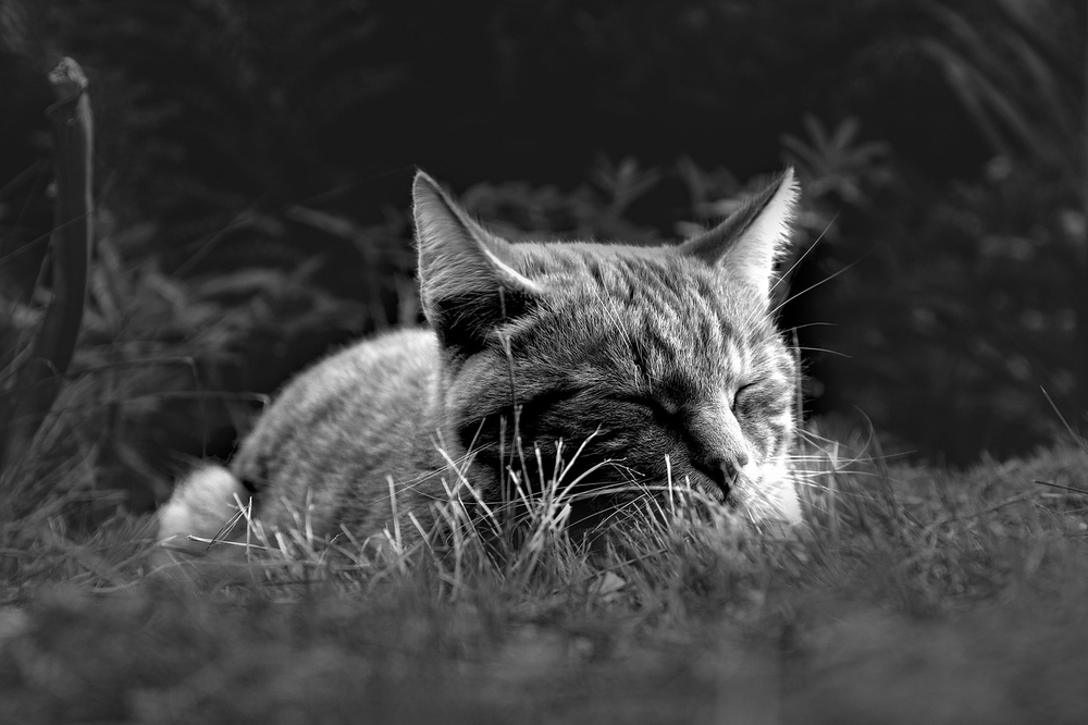 4 signs your nap is leaving you groggier than before you slept