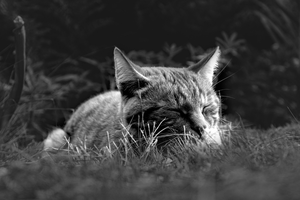 4 signs your nap is leaving you groggier than before you slept