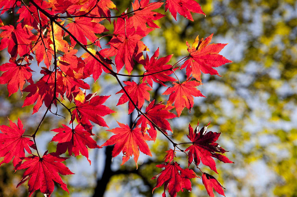 2 daily habits that increase fall risk at home for older adults