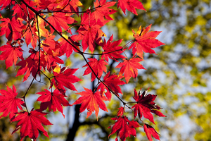 2 daily habits that increase fall risk at home for older adults