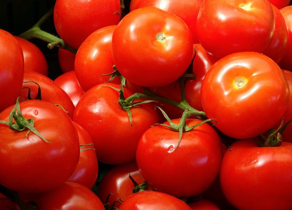 5 foods that protect your skin from sun damage, according to dietitians