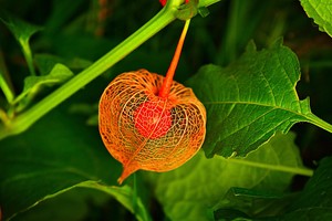 2 common mistakes that make bladder leakage harder to manage when hormones change