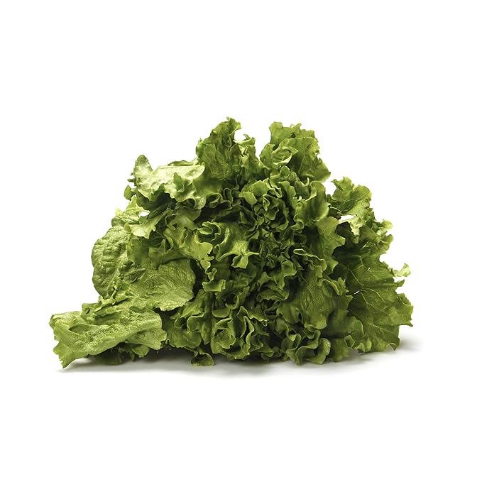 Lettuce Green Leaf Organic, 1 Each